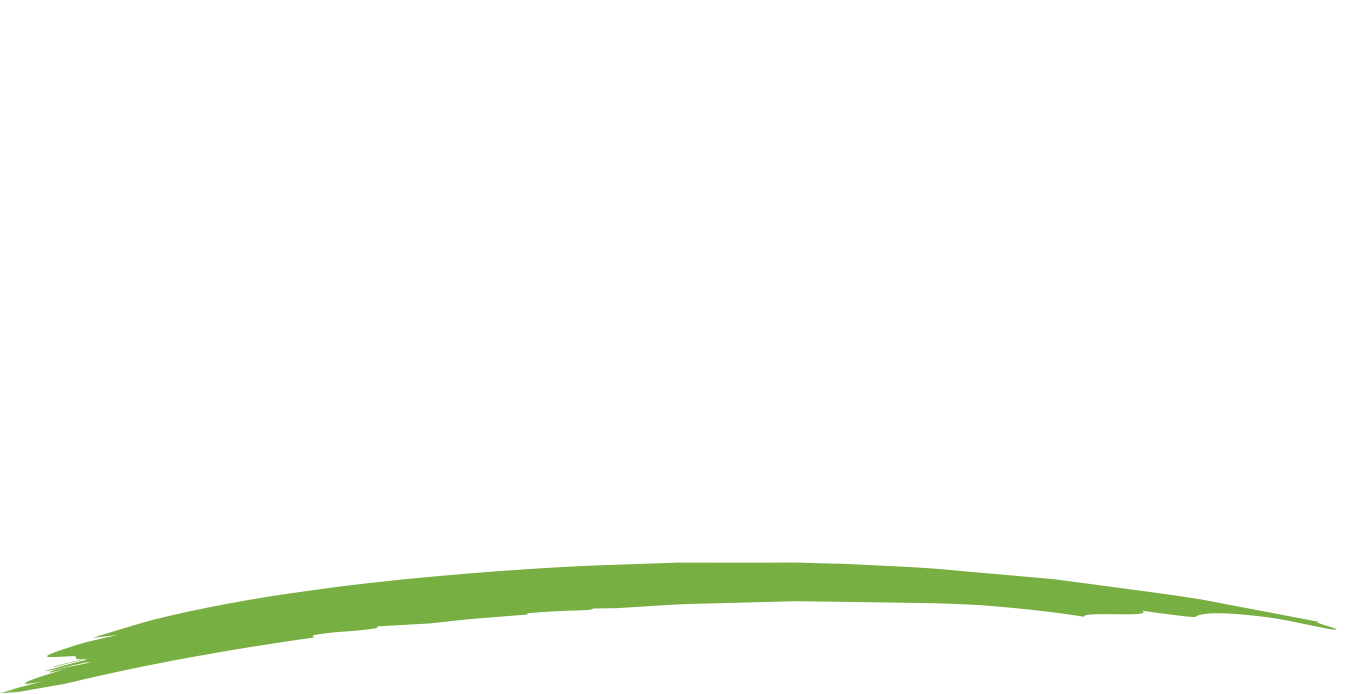 Flav Edibles